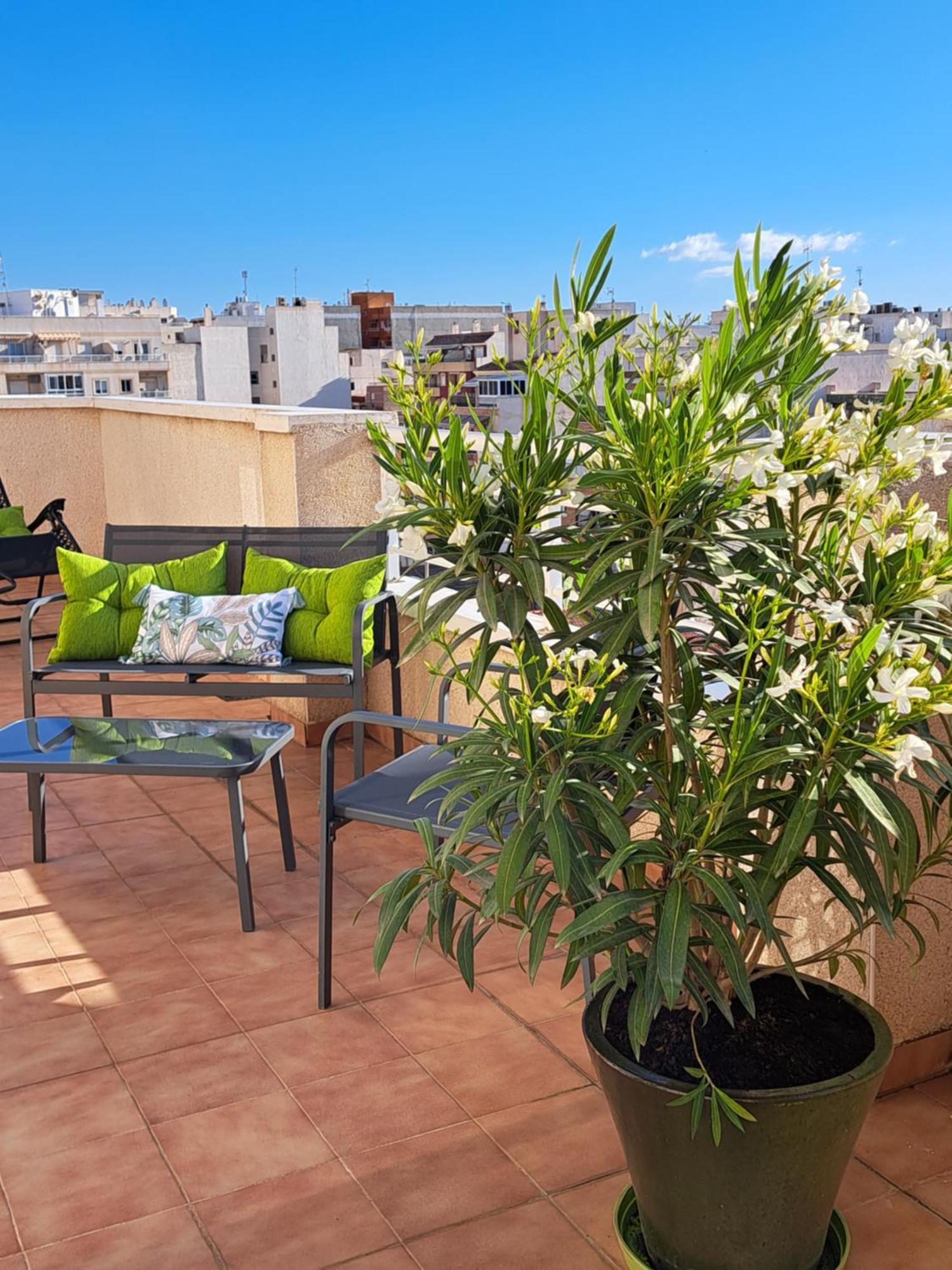 Atico Roof Top 托雷维耶哈 外观 照片
